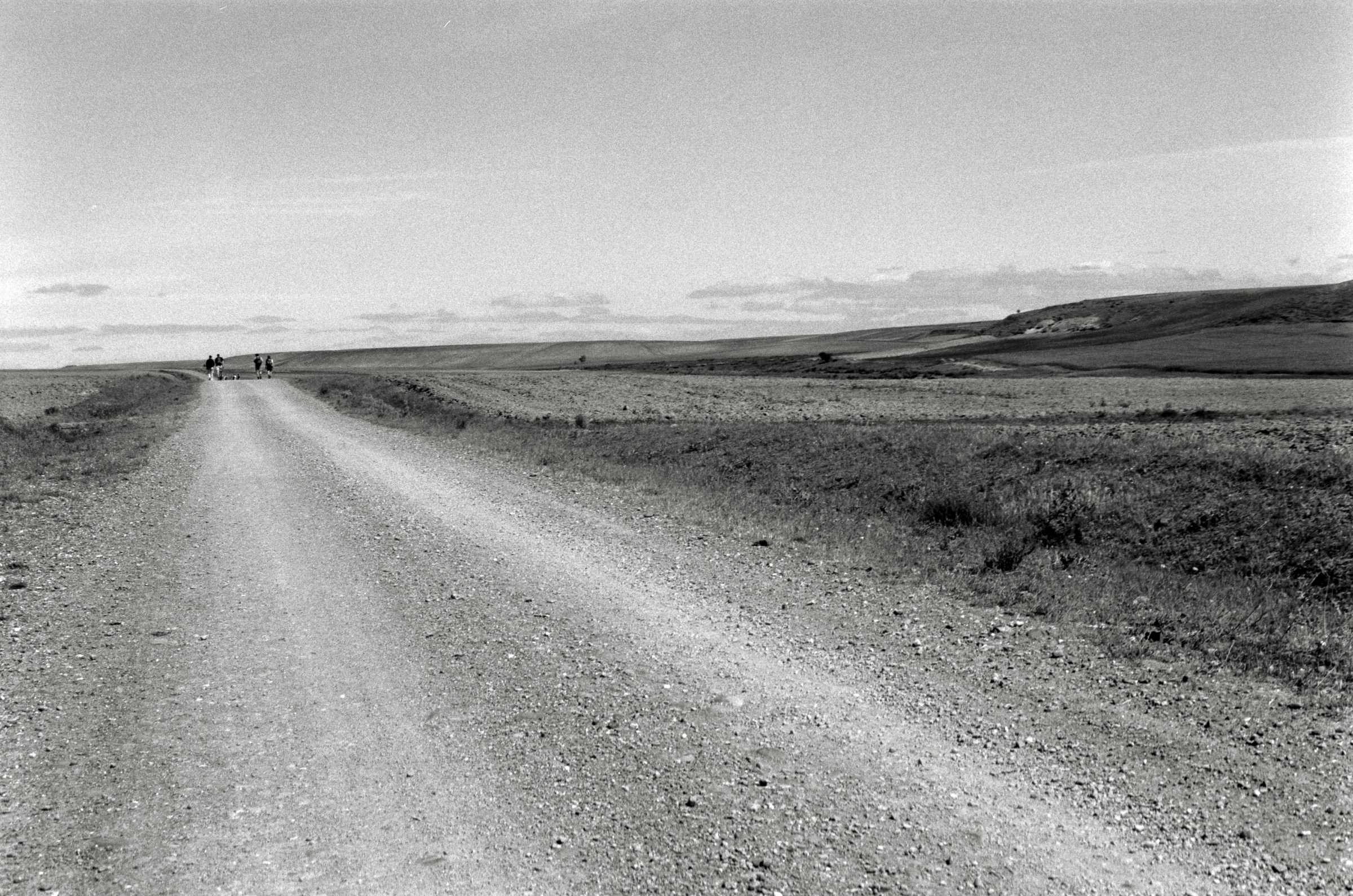 AHP F1995 05 009 sc240826 img13 NLP